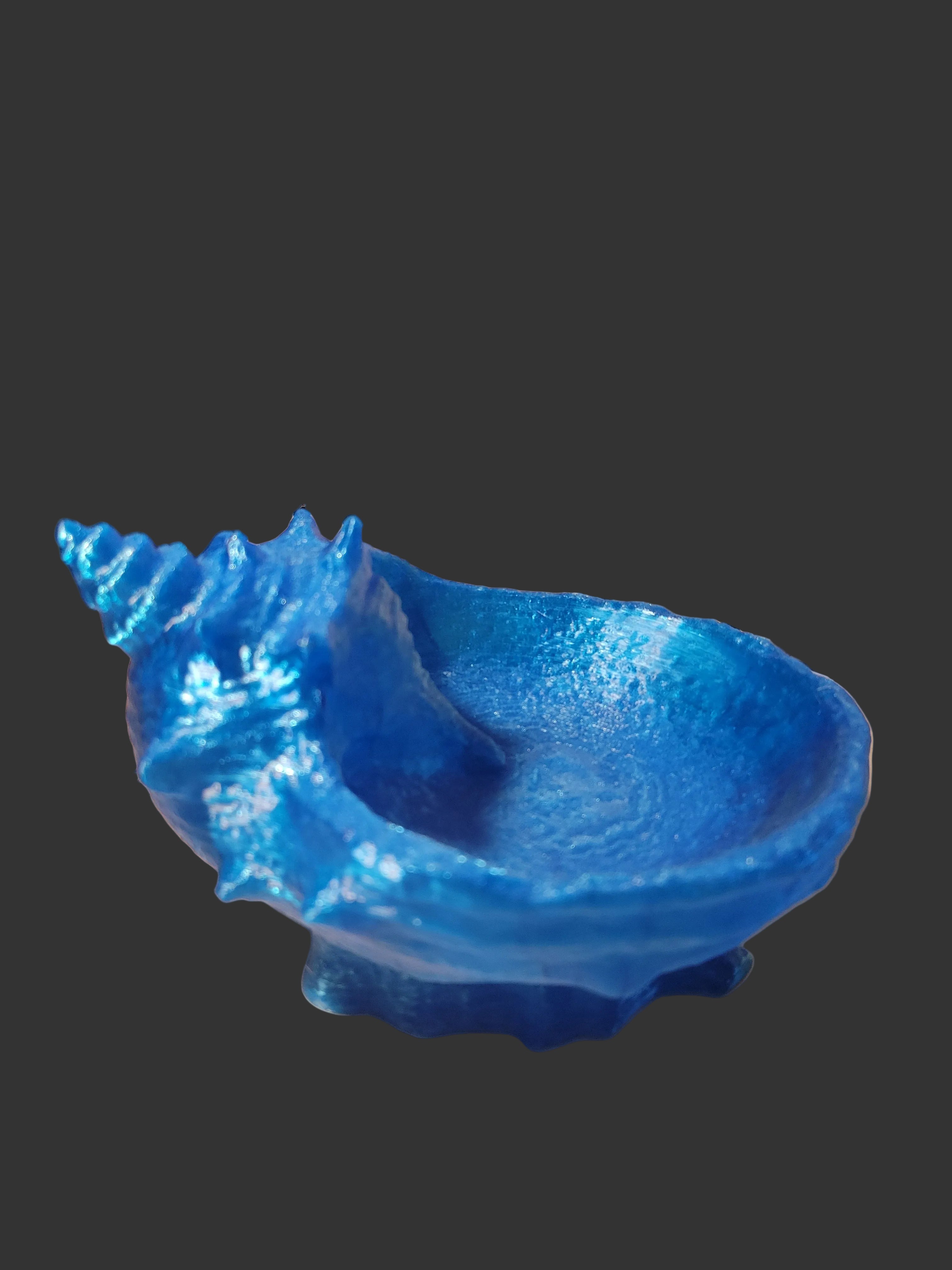 Translucent Blue 3D-printed catch-all tray featuring nautical details of waves carrying a conch shell with large tray on dark grey background.